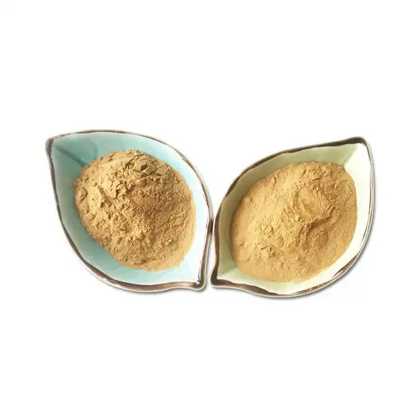 Astragalus Root Extract Powder